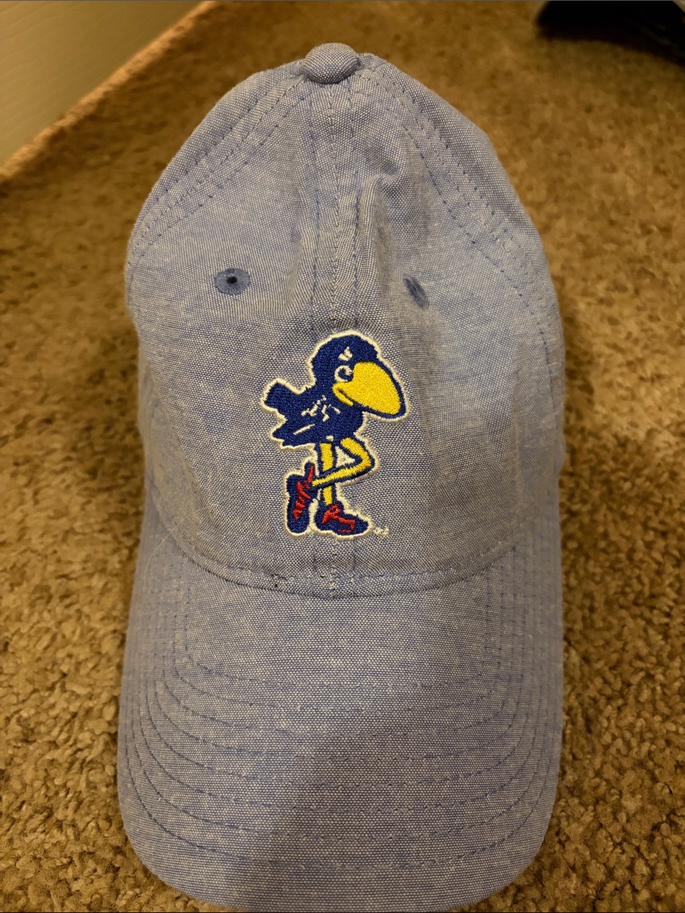 Twenty Light Blue Kids Baseball Cap with Yellow & Red Embroidered Mascot